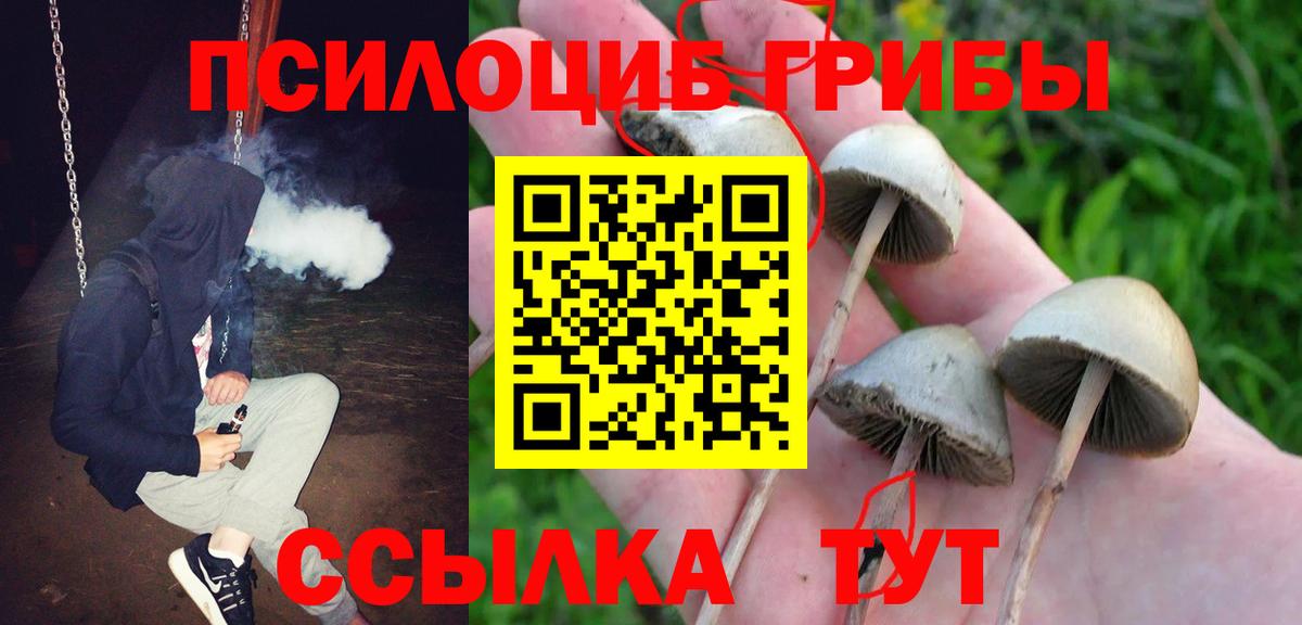 Галлюциногенные грибы Cubensis Большой Камень